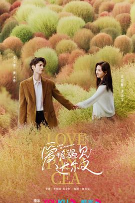 韩国妻子的外遇海报剧照